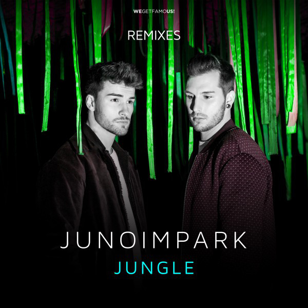 Jungle - Jay Frog Dub Mix cover art