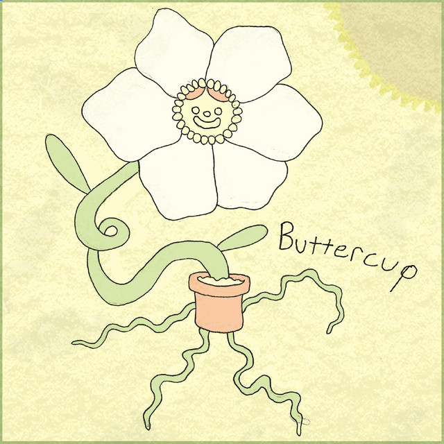 buttercup cover art