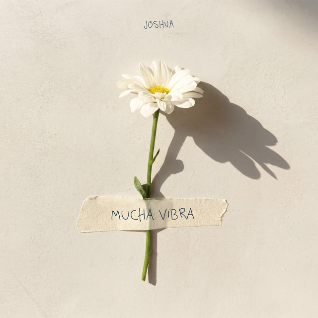 Mucha vibra
