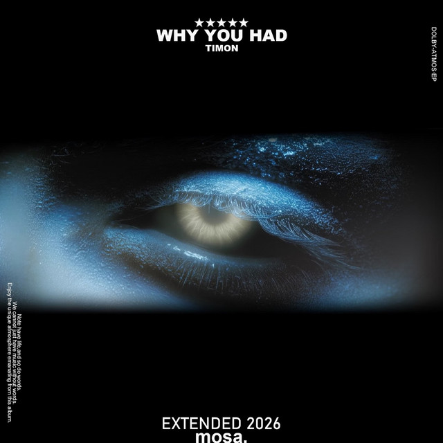 Why You Had album image