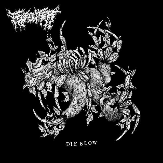 Die Slow cover art