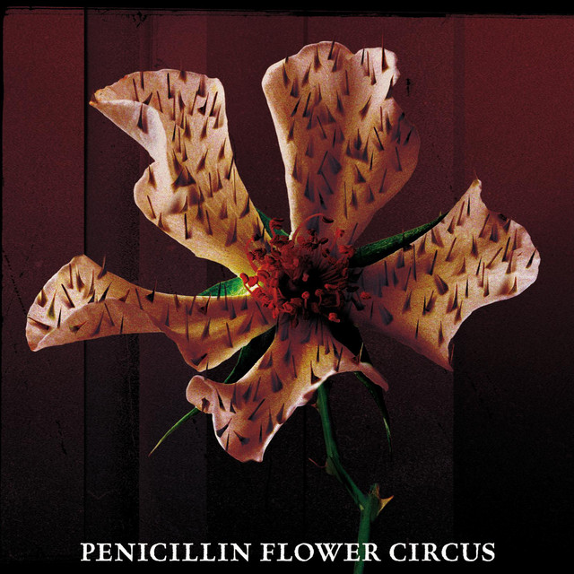 FLOWER CIRCUS cover art