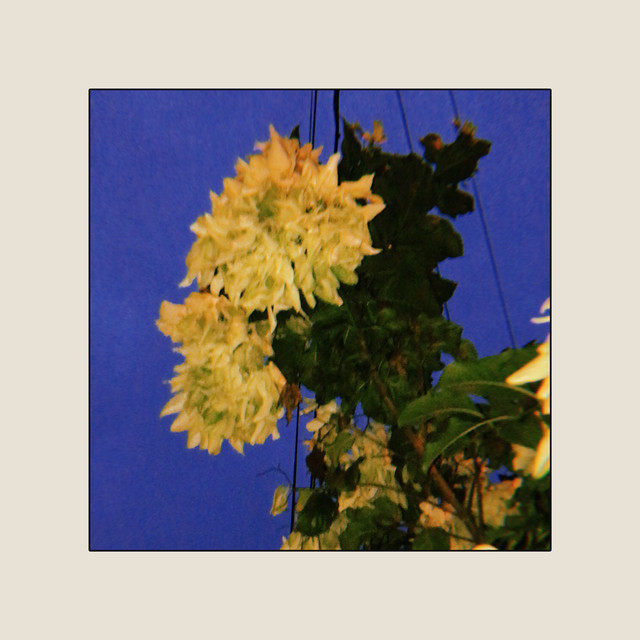 Joking cover