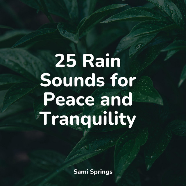 25 Rain Sounds for Peace and Tranquility - Album by Nature Sounds | Spotify