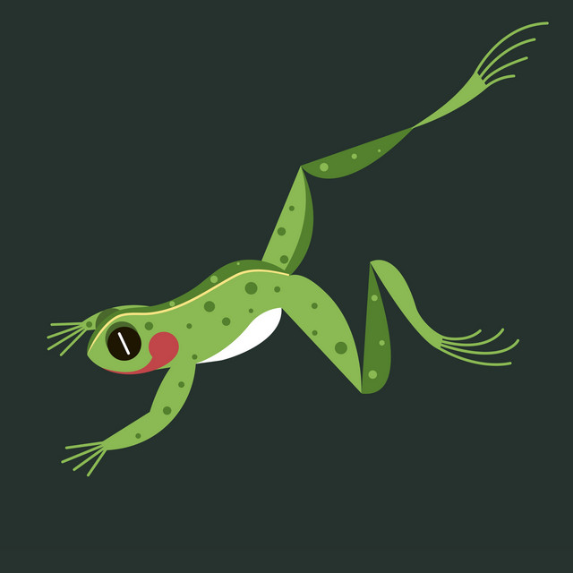 Amphibious album image