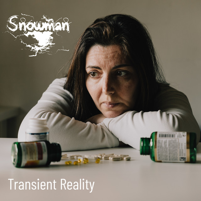 Transient Reality cover art