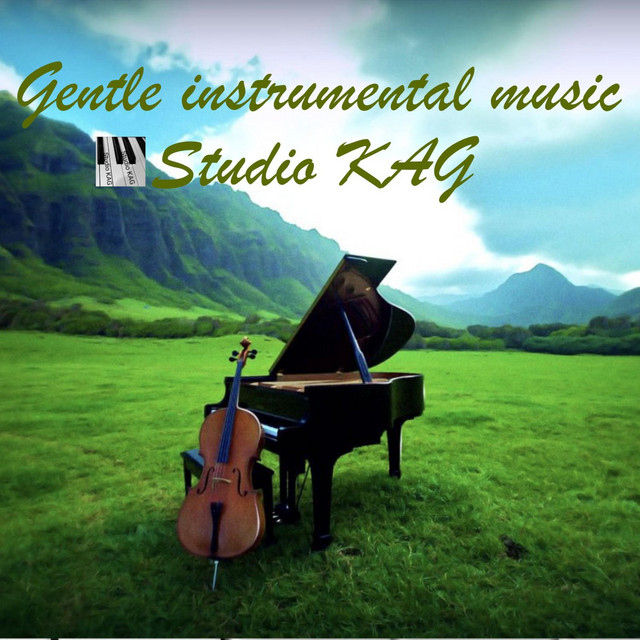 Обкладинка: Gentle instrumental music — Studio KAG