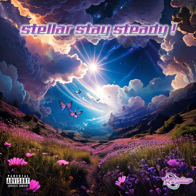 stellar stay steady ! cover art