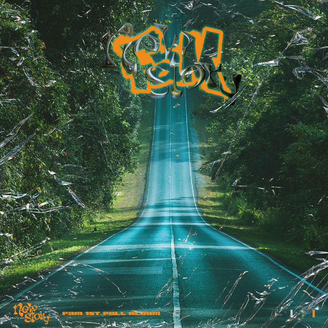 NewStory cover art