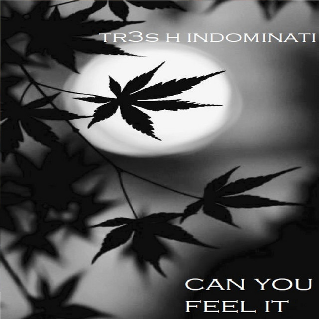 tr3s h indominati – Can You Feel It