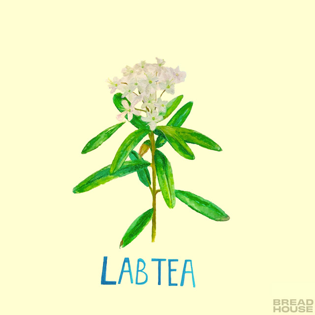 Lab Tea cover art
