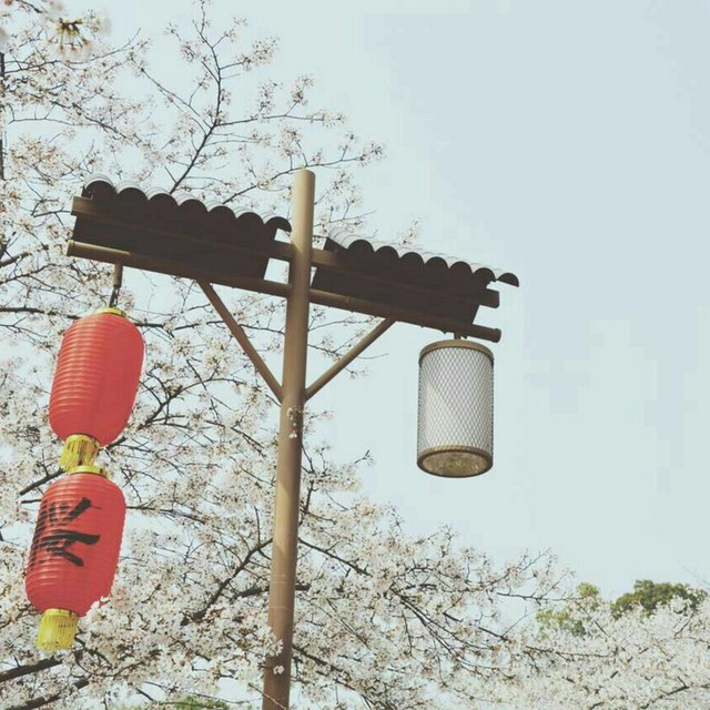 美好事物
