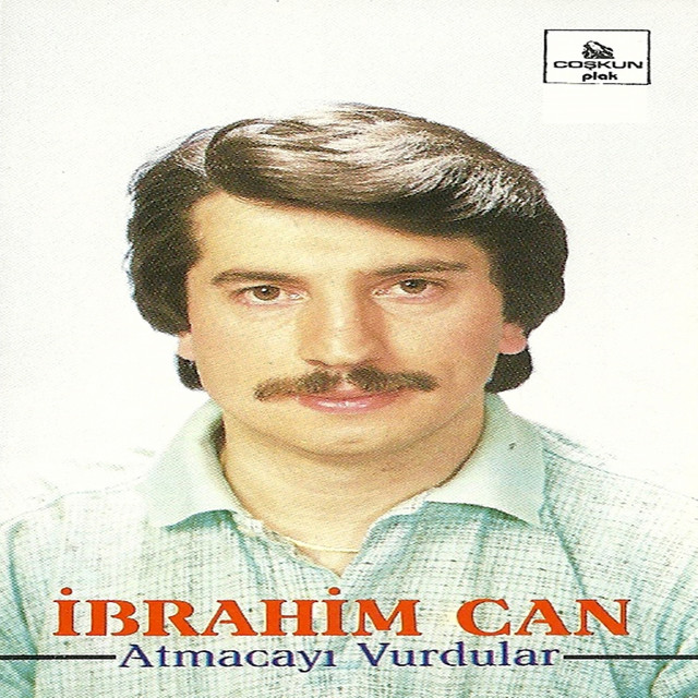 Atmacayı Vurdular cover art