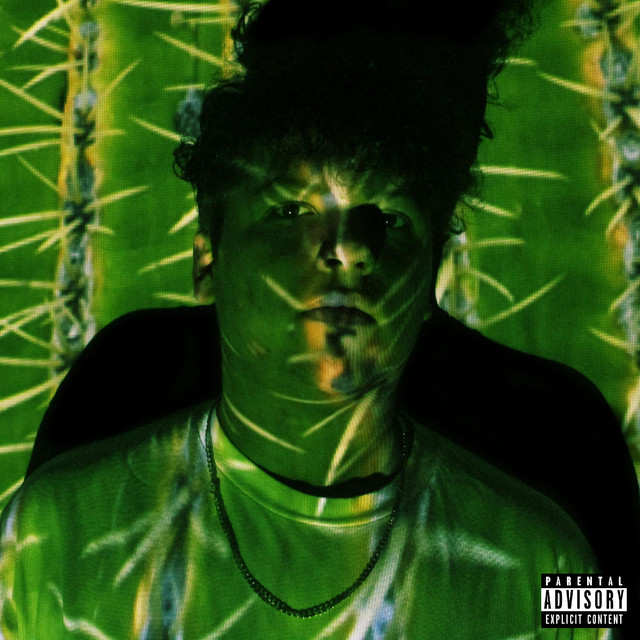 Cactus cover art