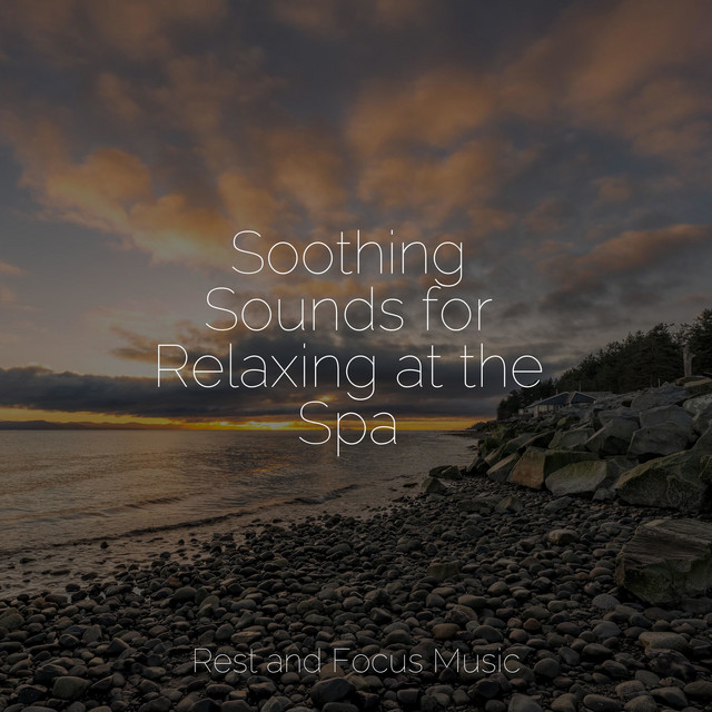 Soothing Sounds for Relaxing at the Spa - Album by Spa | Spotify