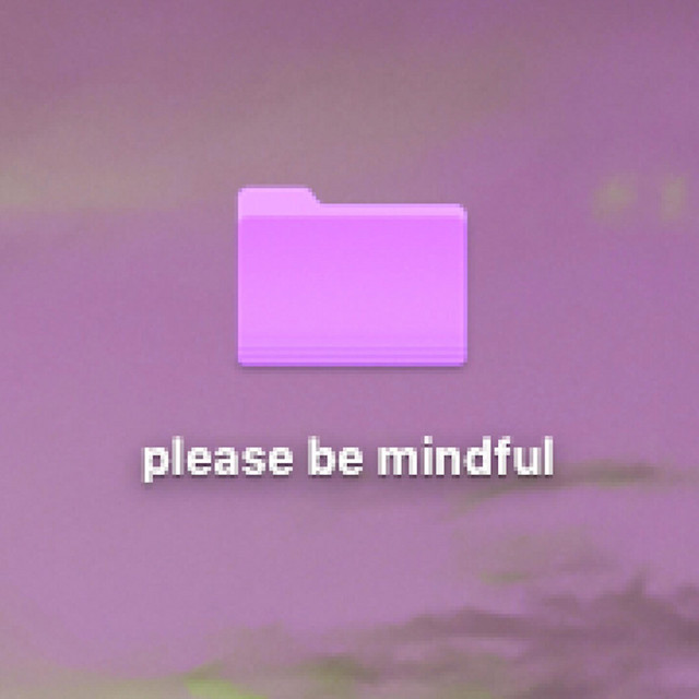 please be mindful cover art