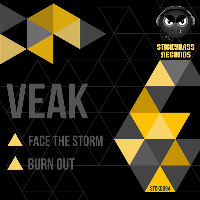 Face the Storm artwork