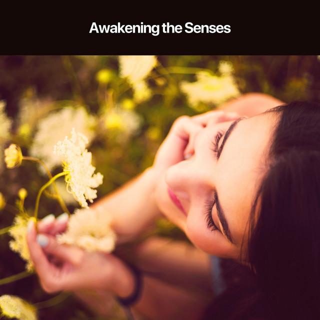 Awakening the Senses cover art