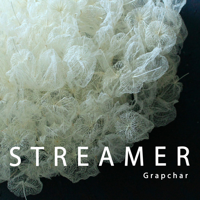 STREAMER - Single by Grapchar | Spotify