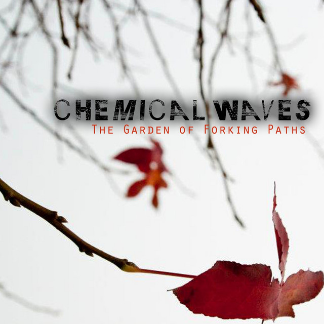 Chemical Waves Photo