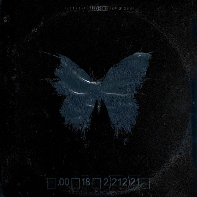 Umbrella cover art