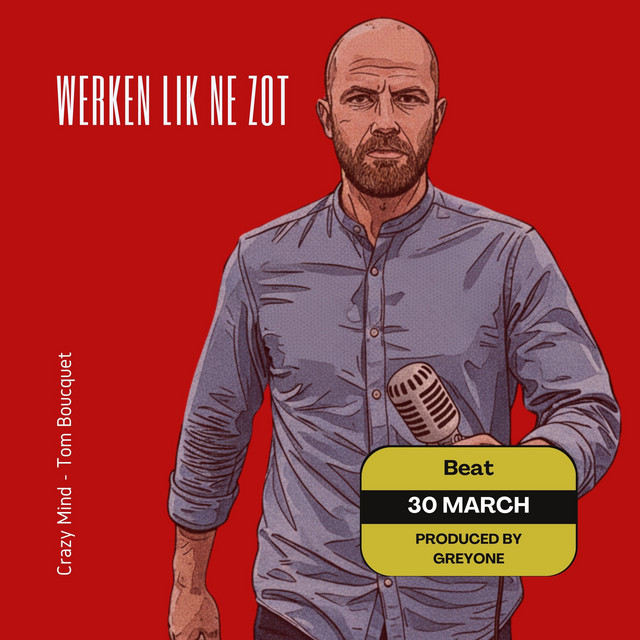 Werken lik ne zot cover
