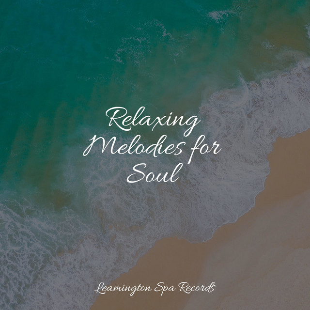 Relaxing Melodies for Soul - Album by Healing Sounds for Deep Sleep and ...