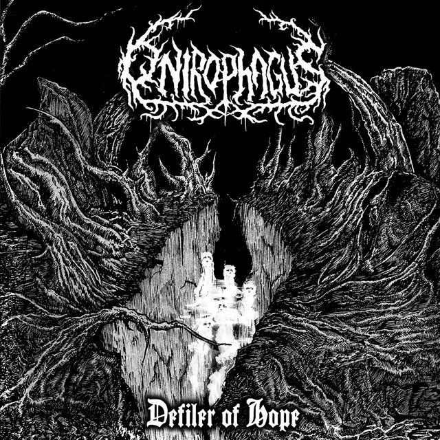 Defiler of Hope cover