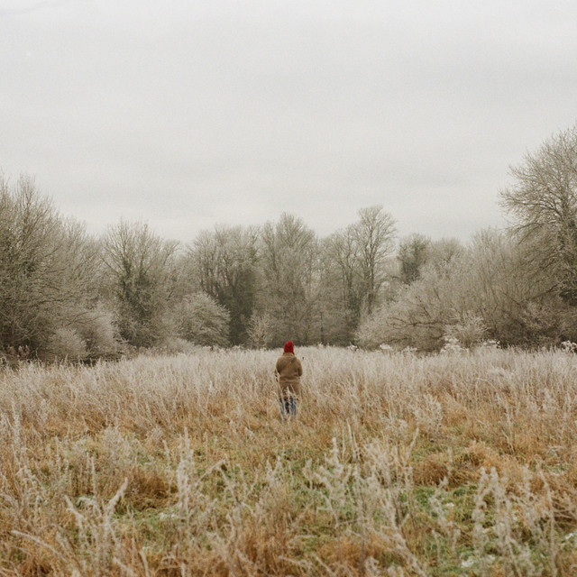 Bigger Picture (Deluxe) cover art