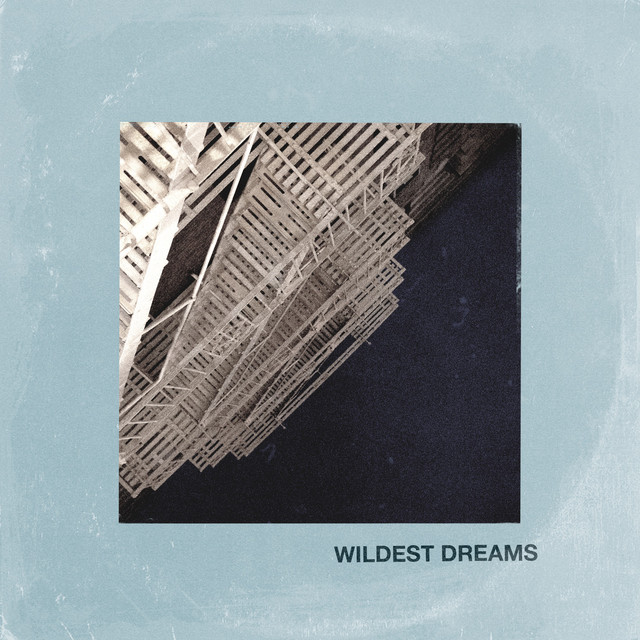 WILDEST DREAMS