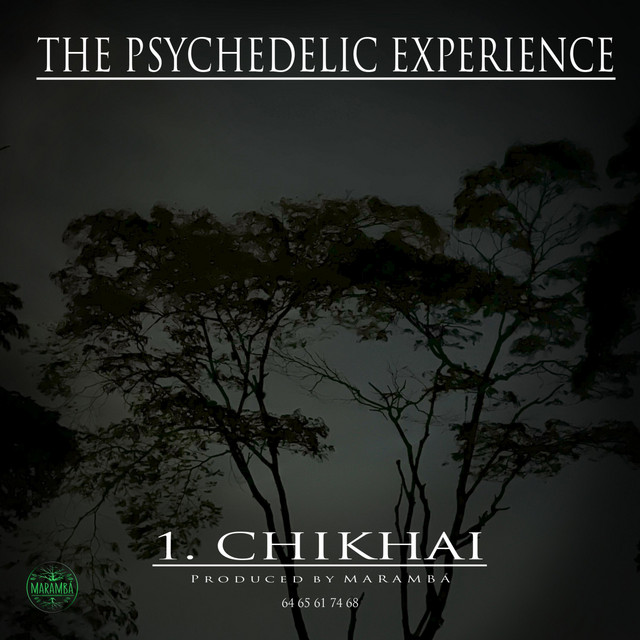 The Psychedelic Experience, Pt. 1 Chikhai cover art