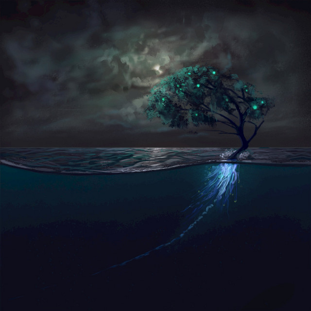 blue cover