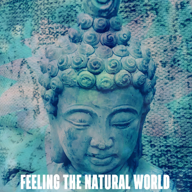 Feeling The Natural World