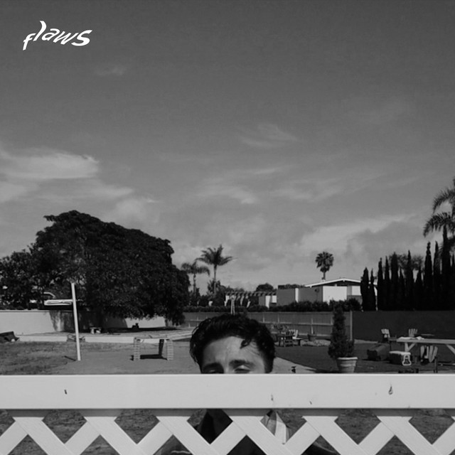 flaws cover art