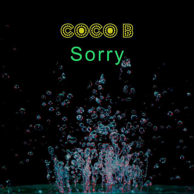 Sorry cover