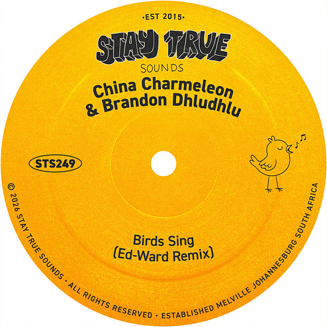 Birds Sing (Ed-Ward Remix) album image