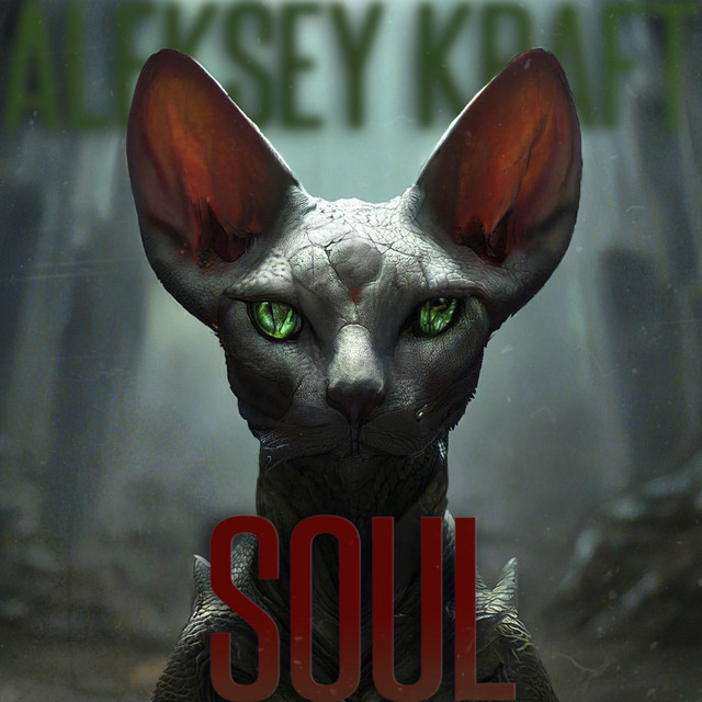 Soul cover art