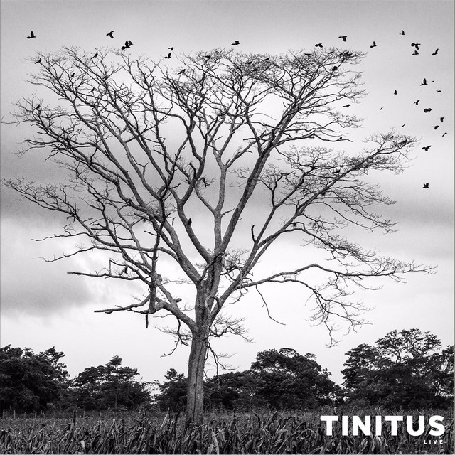 Tinitus Live cover