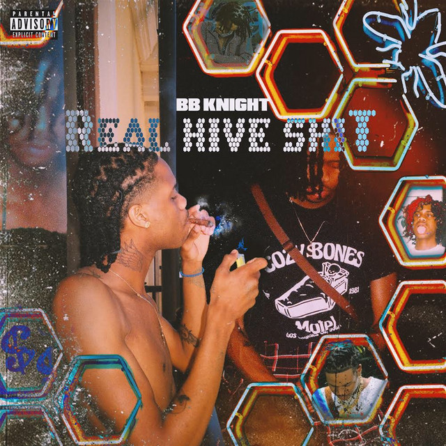 Real Hive Shit cover art