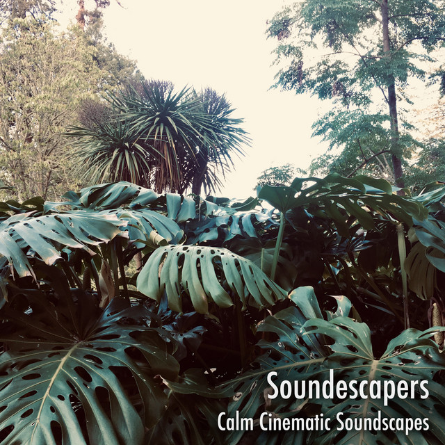 Calm Cinematic Soundscapes cover art