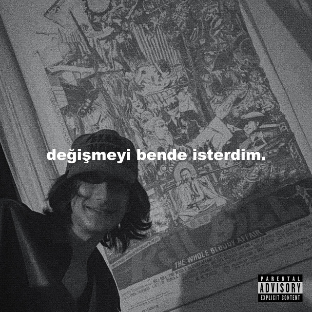 değişmeyi bende isterdim./demolar cover art