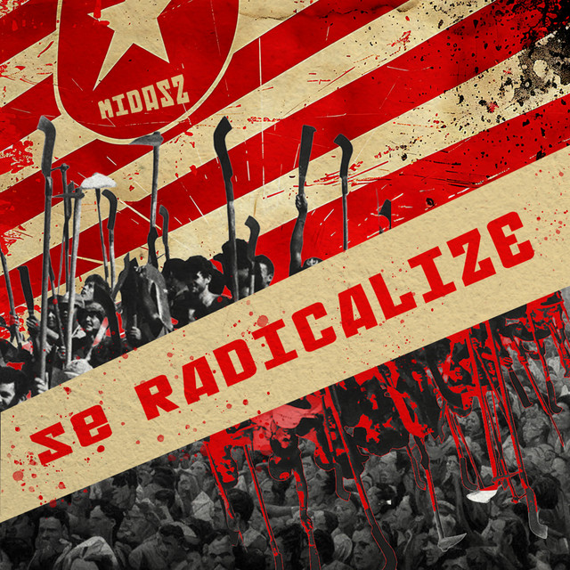 Se radicalize! cover art