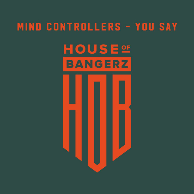 You Say cover