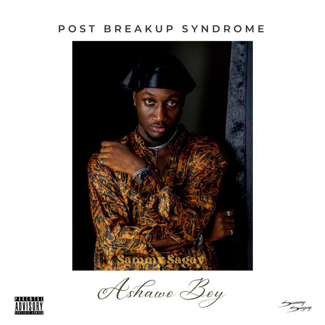 Ashawo Boy (PBS) cover art