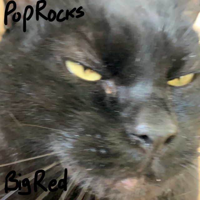 PopRocks cover art