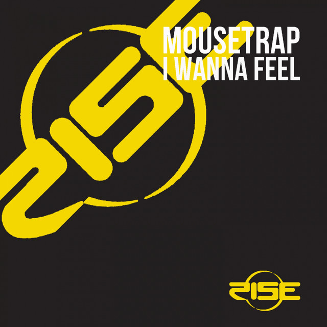 I Wanna Feel cover