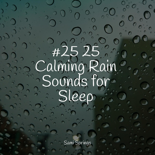 #25 25 Calming Rain Sounds for Sleep - Album by Music For Absolute ...