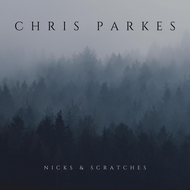 Nicks & Scratches