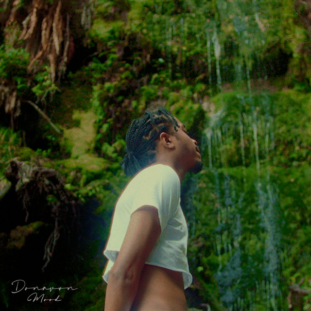 Mood cover art