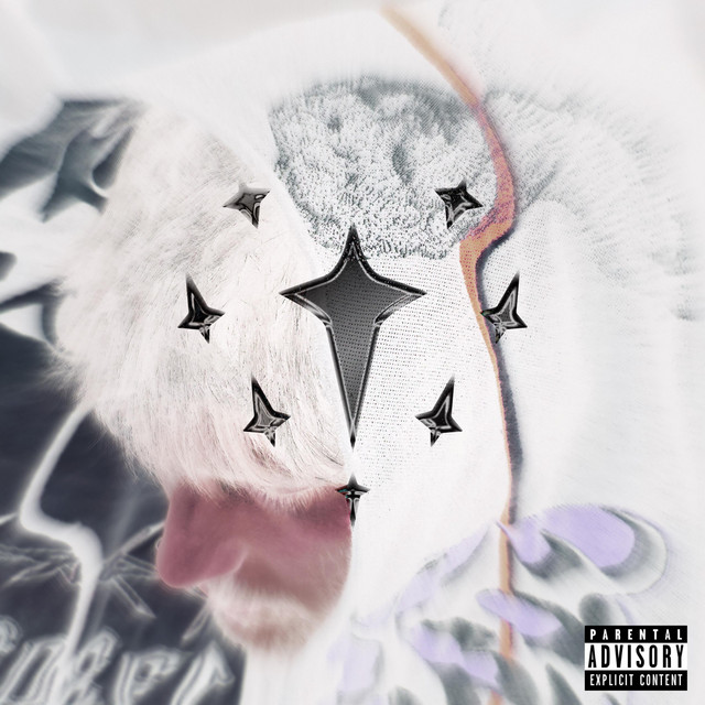 ALTERNATE DIMENSION cover art